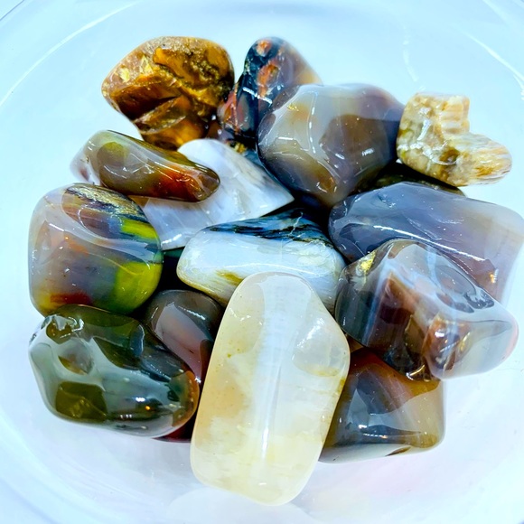 Tumbled Petrified Wood - Picture 3 of 4